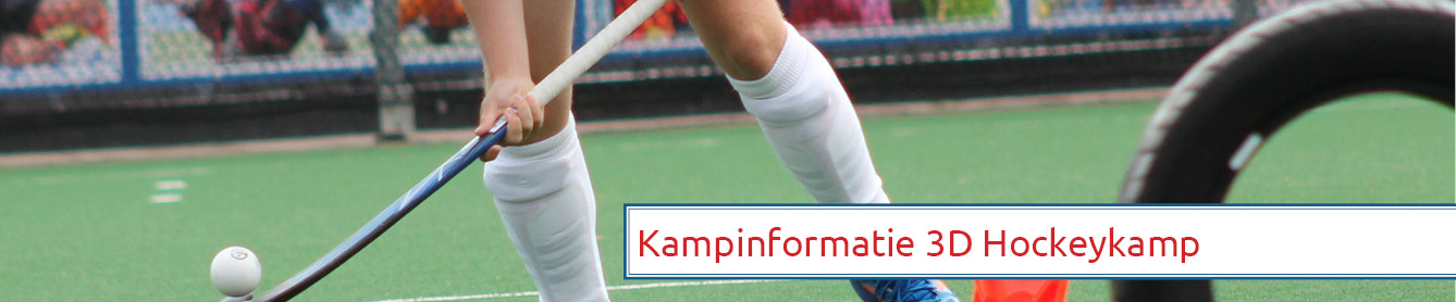 3D hockeykamp
